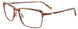 10 - Satin Brown & Brown Lines