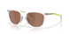 928609 - Transparent - Prizm Tungsten Polarized