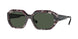 Vogue 5554S Sunglasses