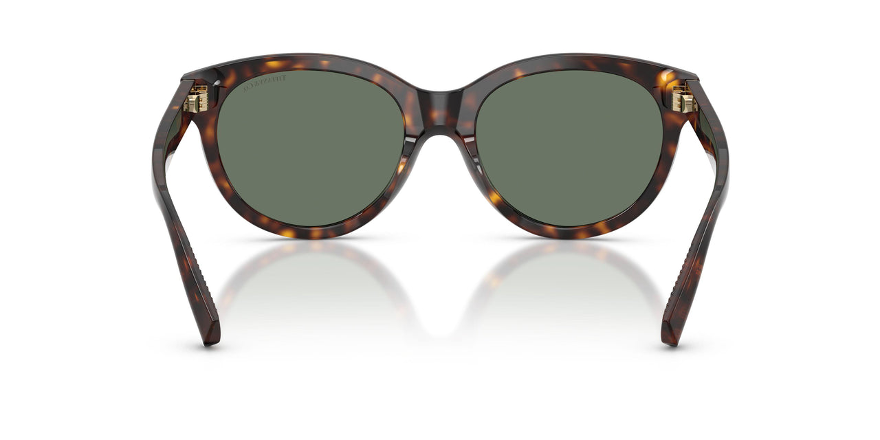 80153H - Tortoise - Dark Green