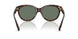 80153H - Tortoise - Dark Green