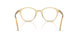 11T1O1 - Brown