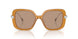 200563 - Brown - Light Brown