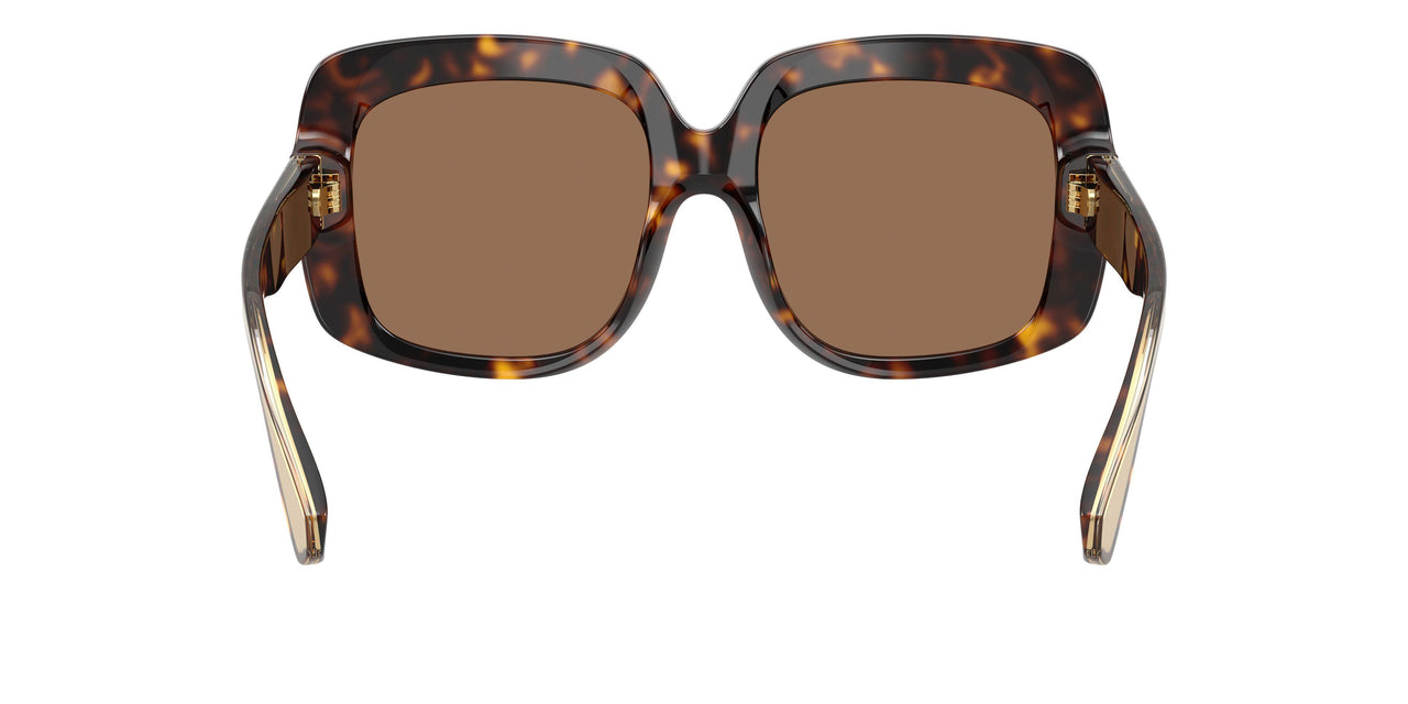 502/73 - Tortoise - Dark Brown