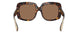502/73 - Tortoise - Dark Brown