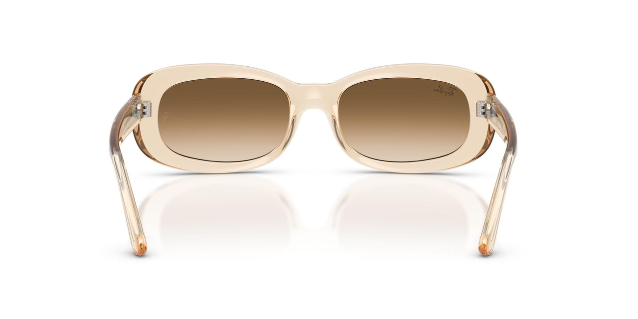 690251 - Pink - Clear Gradient Brown