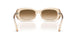 690251 - Pink - Clear Gradient Brown