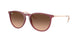 6815A5 - Violet - Pink Gradient Brown