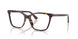 5002 - Tortoise