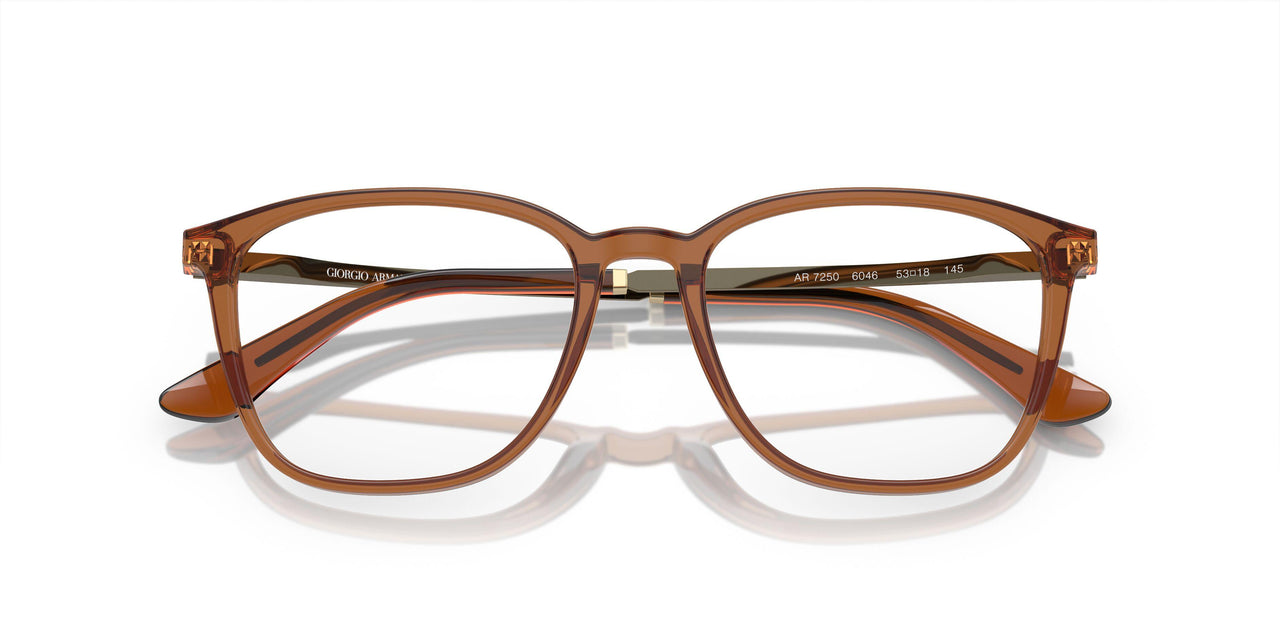 6046 - Brown
