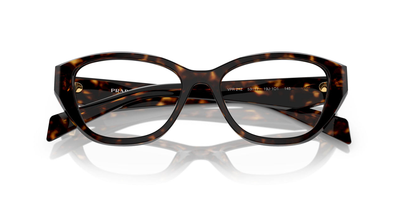 19J1O1 - Tortoise