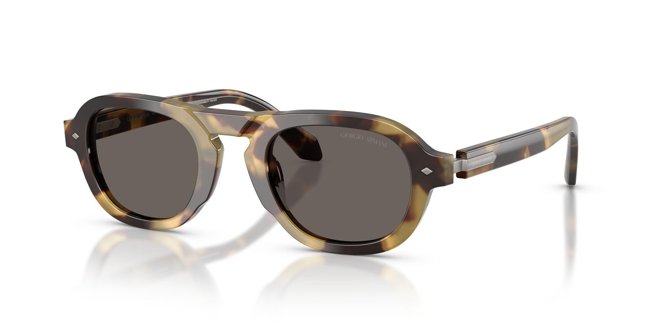 6301B1 - Tortoise - Dark Grey