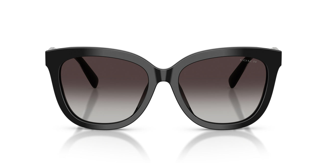 50028G - Black - Grey Gradient