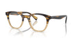 1703 - Brown