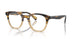 1703 - Brown