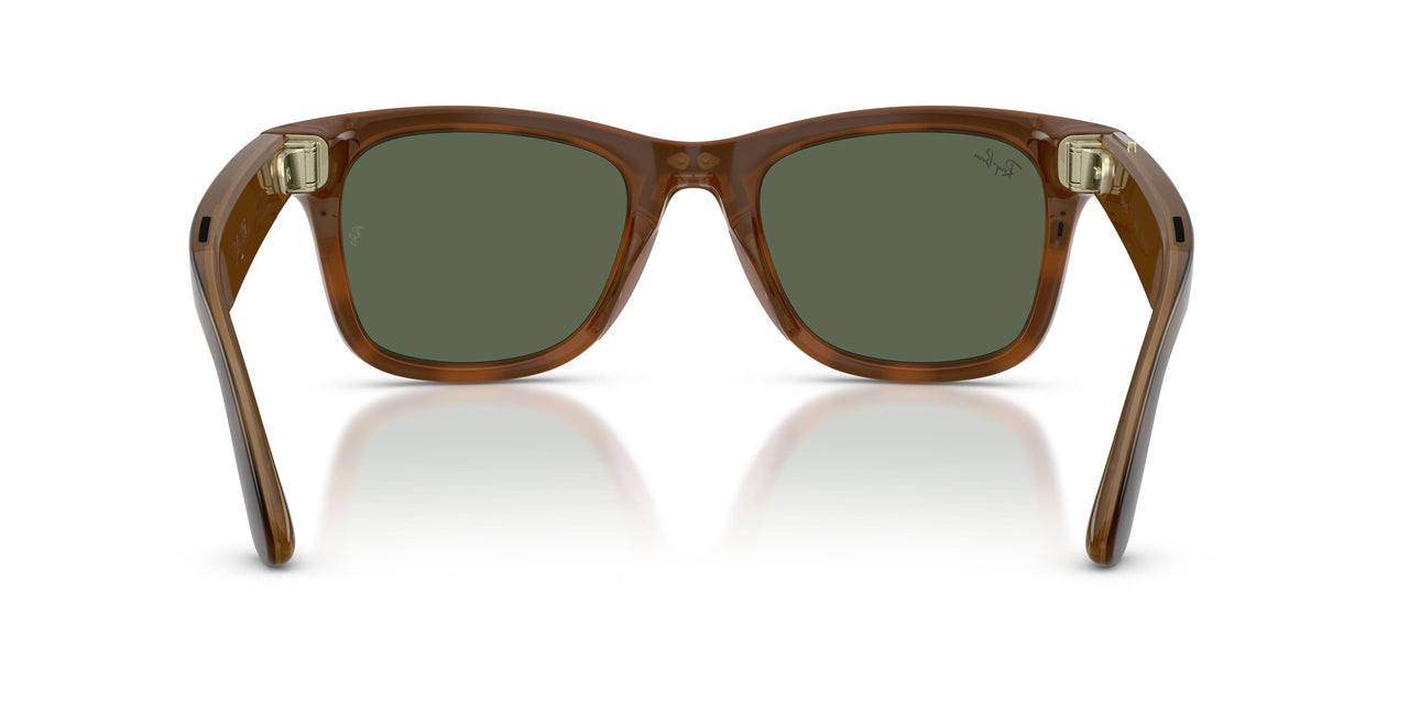 690571 - Tortoise - G-15 Green