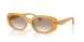 591313 - Brown - Light Brown Gradient