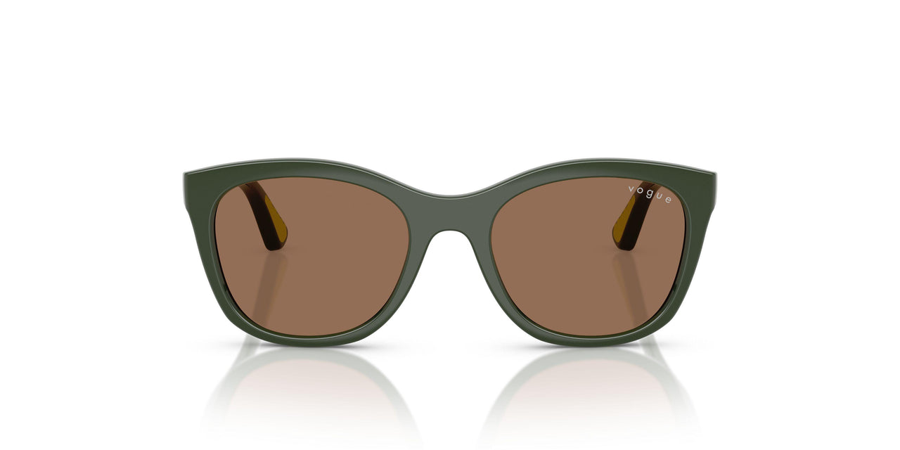 320873 - Green - Dark Brown