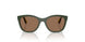 320873 - Green - Dark Brown