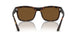 894/57 - Tortoise - Brown