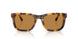 591693 - Tortoise - Light Brown