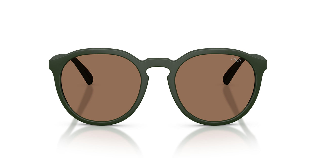 559673 - Green - Dark Brown