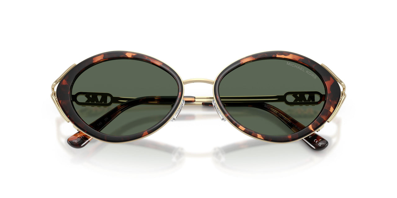 403171 - Tortoise - Green