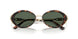 403171 - Tortoise - Green
