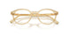 11T1O1 - Brown