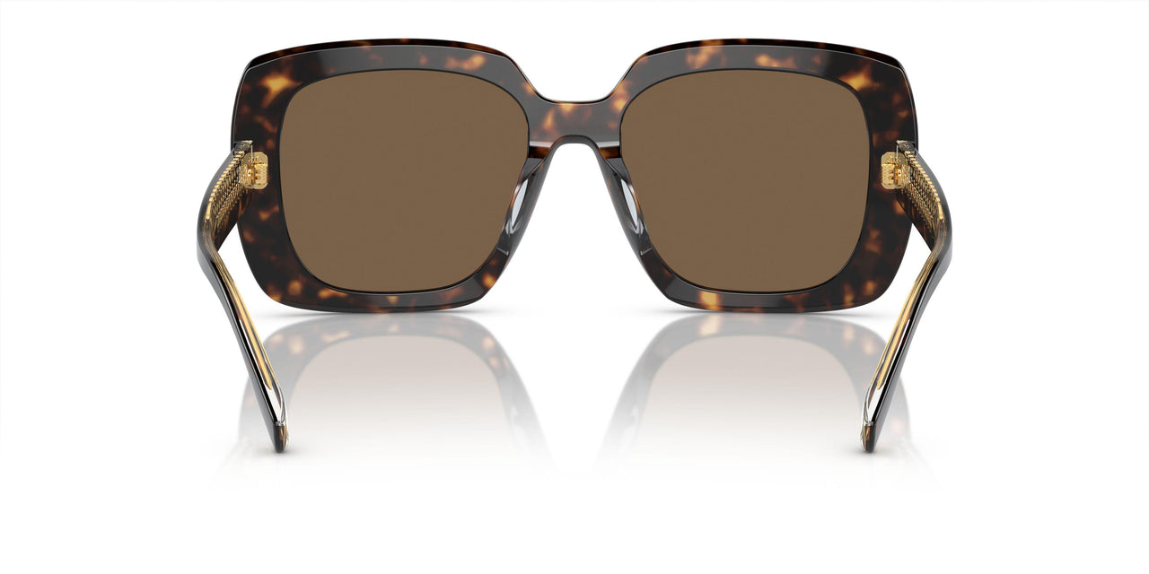 19405A - Black/white Tortoise - Light Brown Mirror Gold