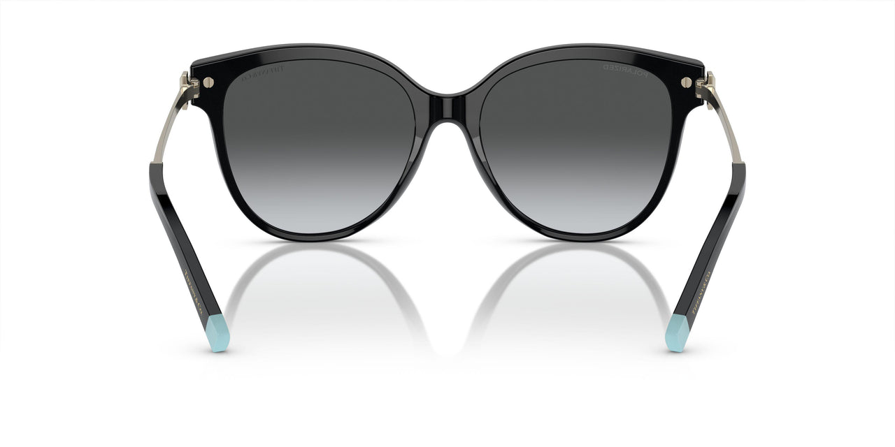8001T3 - Black - Polar Grey Gradient