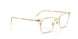 5762 - Transparent - Demo Bio