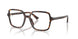 5002 - Tortoise