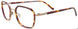10 - Brown Tortoise & Gold