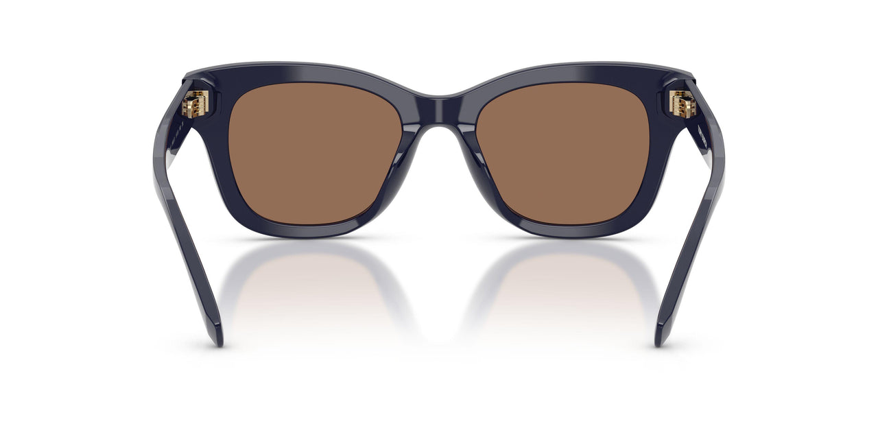 199373 - Blue - Solid Brown