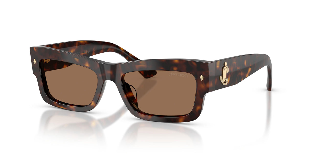 500273 - Tortoise - Dark Brown
