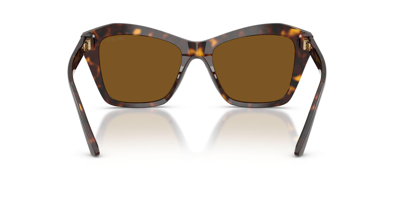 500283 - Tortoise - Dark Brown Polarized