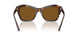 500283 - Tortoise - Dark Brown Polarized