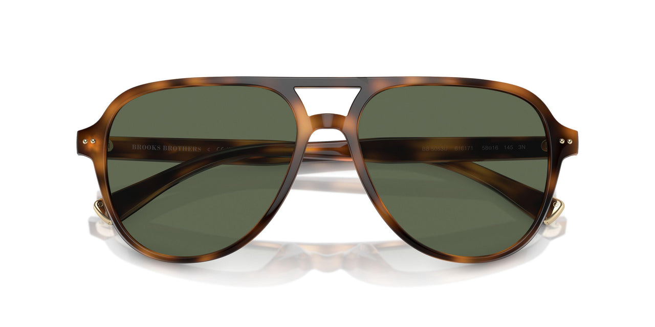 616171 - Tortoise - Solid Green