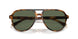 616171 - Tortoise - Solid Green