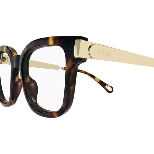 002 - Havana/Gold - Transparent