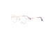 Divaldi DVO8264 Eyeglasses