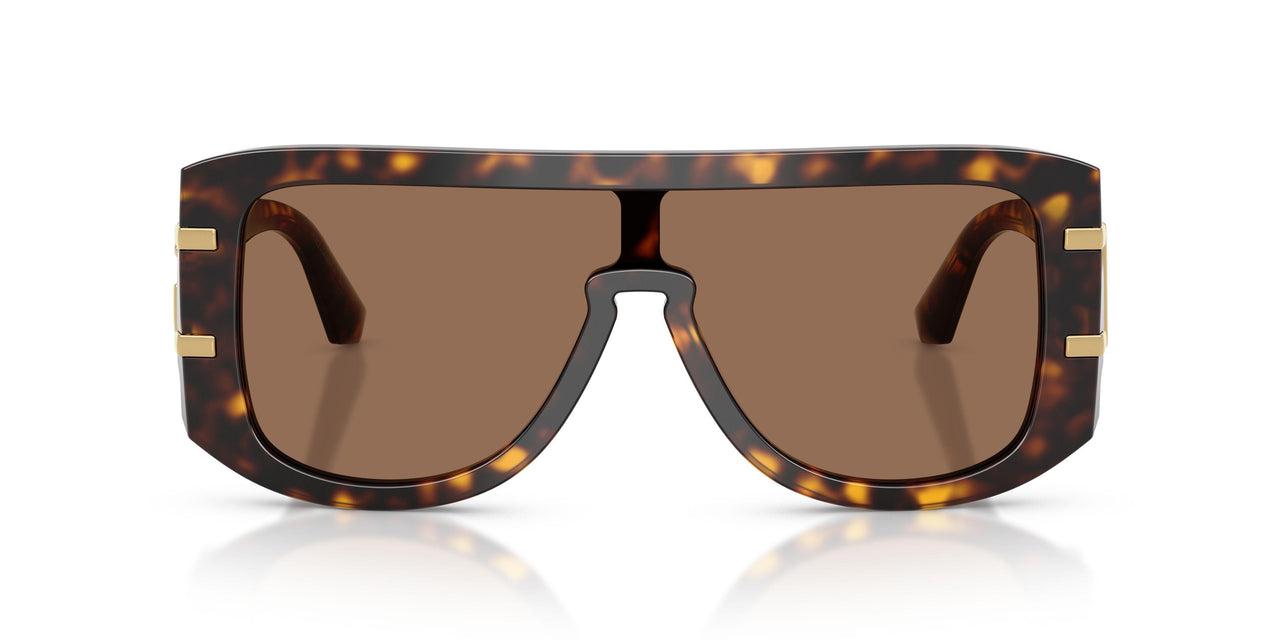 502/73 - Tortoise - Dark Brown