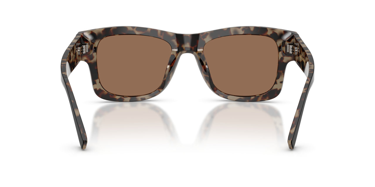341773 - Black - Dark Brown