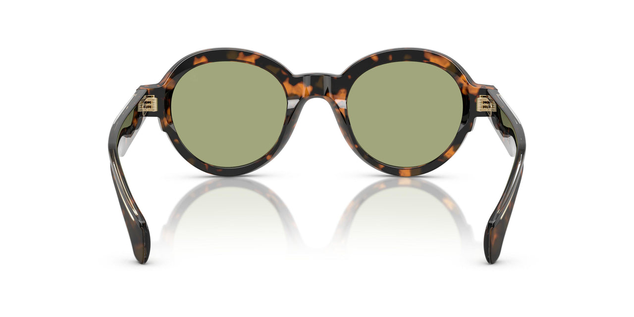 300682 - Tortoise - Green