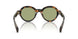300682 - Tortoise - Green