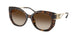 300613 - Tortoise - Brown Gradient