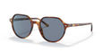 954/62 - Havana - Blue / 55