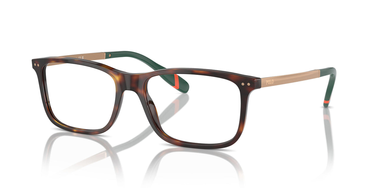 6137 - Tortoise