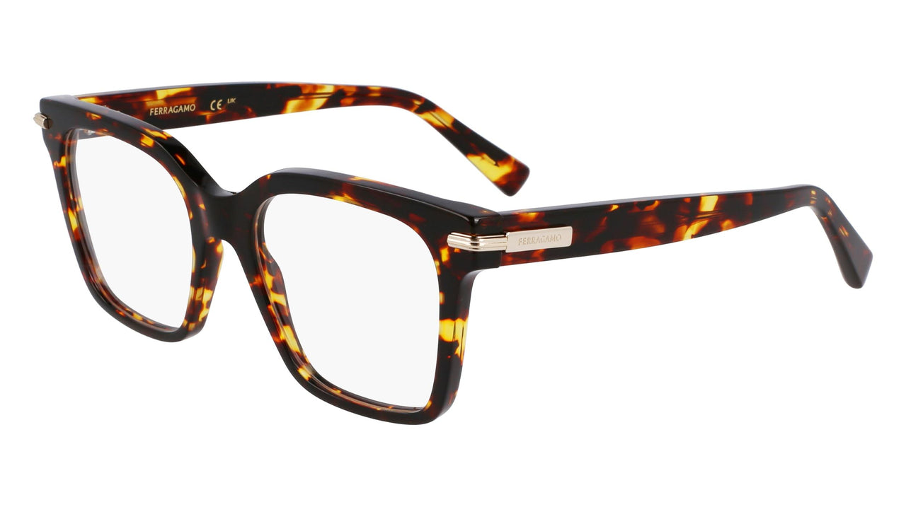 Salvatore Ferragamo SF3009 Eyeglasses